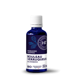 Bourgeons Bouleau verruqueux Herbes & Traditions 50ml Herbes et Traditions  dans votre magasin bio en ligne Etiketbio.eu