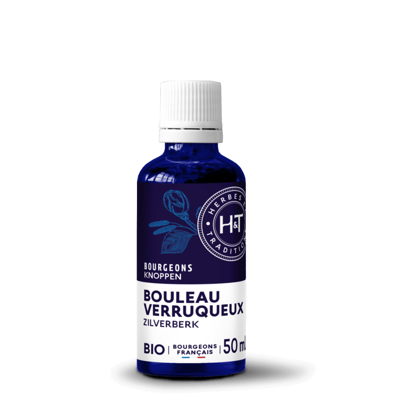 Bourgeons Bouleau verruqueux Herbes & Traditions 50ml Herbes et Traditions  dans votre magasin bio en ligne Etiketbio.eu