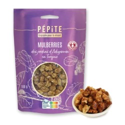 Mûres blanches bio 100g Pépite Pépite  dans votre magasin bio en ligne Etiketbio.eu
