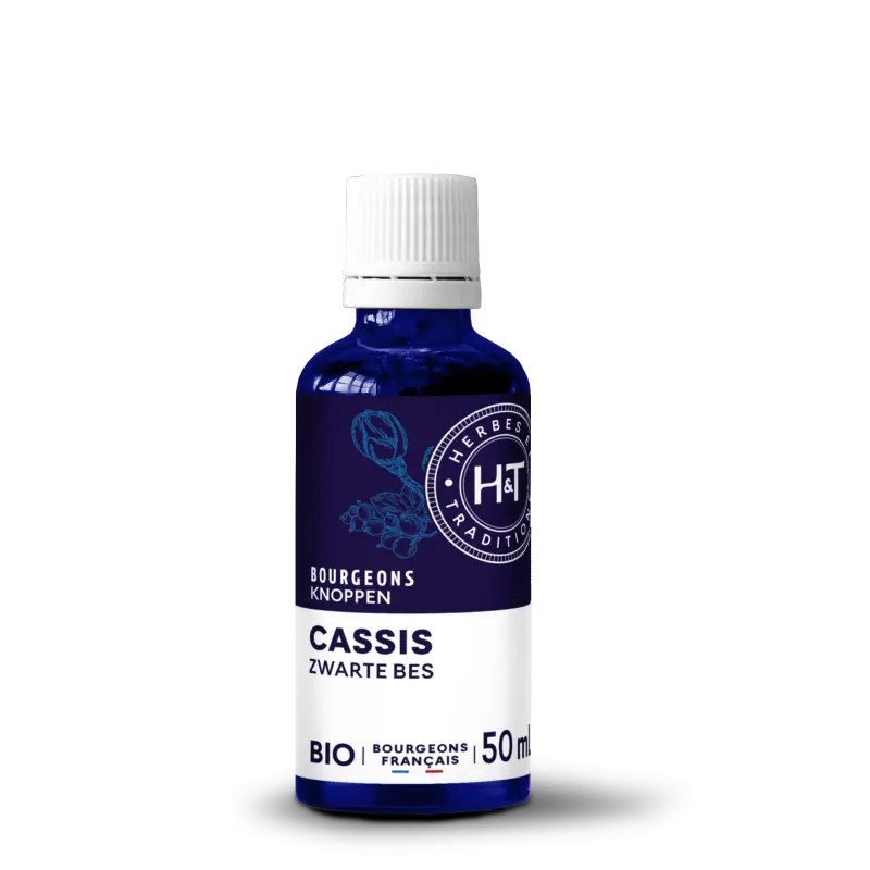 Bourgeons de Cassis Bio 50ml Herbes et Traditions Herbes et Traditions  dans votre magasin bio en ligne Etiketbio.eu
