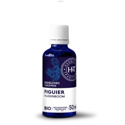 Bourgeons de Figuier Bio 50ml Herbes et Traditions Herbes et Traditions  dans votre magasin bio en ligne Etiketbio.eu