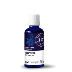 Bourgeons de Noyer Bio 50ml Herbes et Traditions Herbes et Traditions  dans votre magasin bio en ligne Etiketbio.eu
