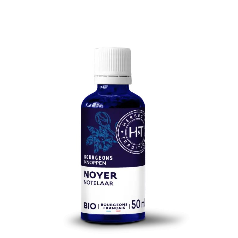 Bourgeons de Noyer Bio 50ml Herbes et Traditions Herbes et Traditions  dans votre magasin bio en ligne Etiketbio.eu