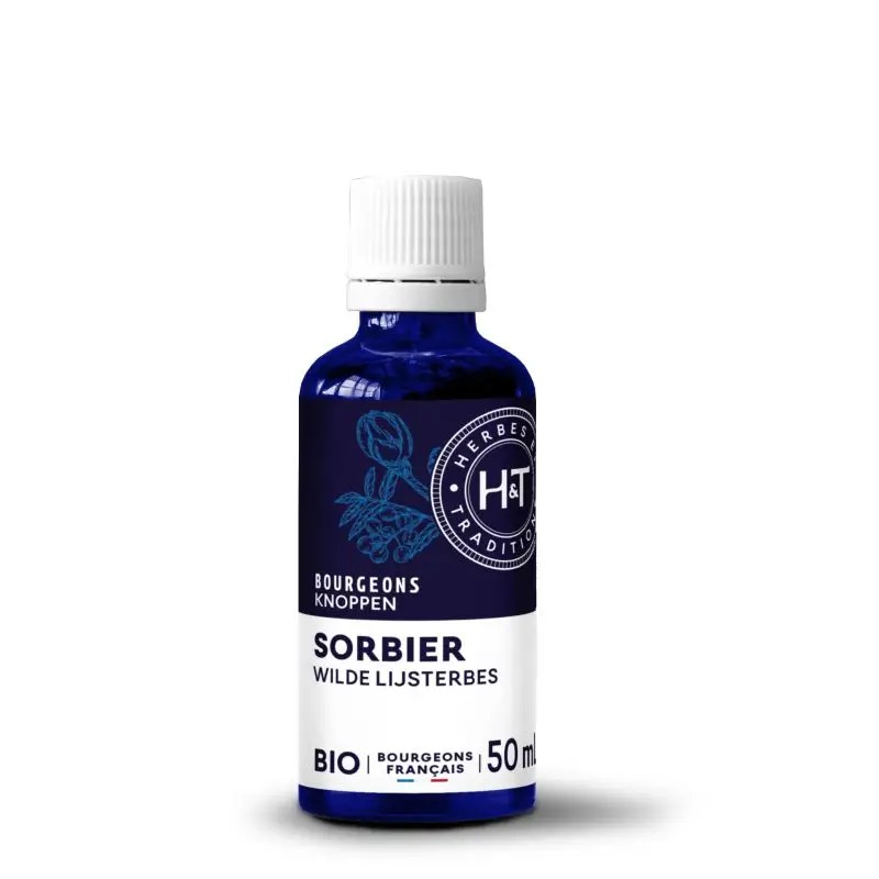 Bourgeons de Sorbier Bio 50ml Herbes et Traditions