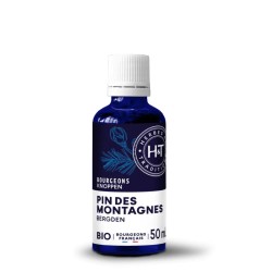 Bourgeons Pin des Montagnes Bio Herbes Traditions Herbes et Traditions  dans votre magasin bio en ligne Etiketbio.eu