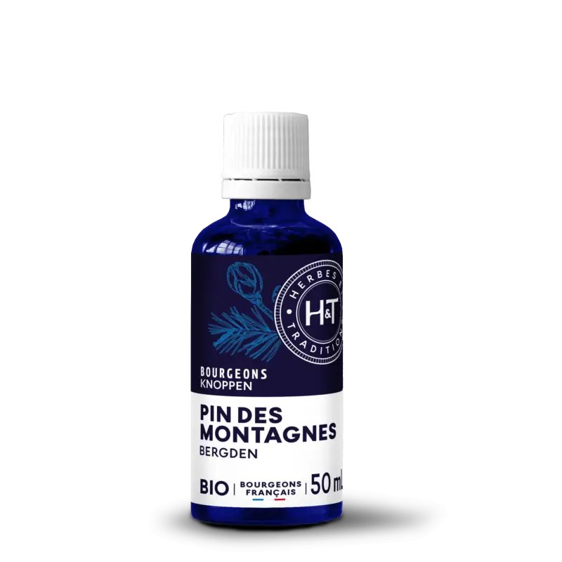 Bourgeons Pin des Montagnes Bio Herbes Traditions Herbes et Traditions  dans votre magasin bio en ligne Etiketbio.eu