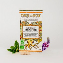 Pastilles Kudzu Menthe Douce Bio 15g Biopastille  dans votre magasin bio en ligne Etiketbio.eu