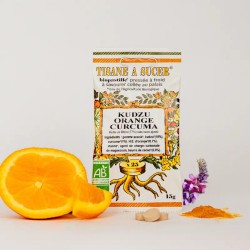 Pastilles Kudzu Orange Curcuma Bio 15g Biopastille  dans votre magasin bio en ligne Etiketbio.eu