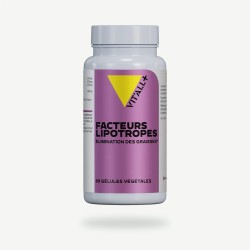 Facteurs Lipotropes Vit'All+ – 60 gélules Vit'all +  dans votre magasin bio en ligne Etiketbio.eu