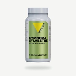Gymnema sylvestre Vit'All+ – 60 gélules