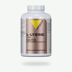 L-Lysine 500 mg 120 gélules Vit'all+ Vit'all +  dans votre magasin bio en ligne Etiketbio.eu