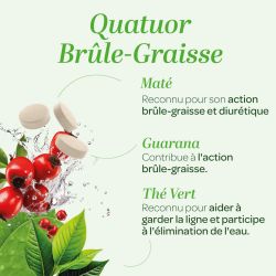 Quatuor Maté Brûle-Graisse Bio 150 comprimes Super Diet