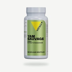 Yam sauvage 500 mg 180 gélules Vit'all+ Vit'all +  dans votre magasin bio en ligne Etiketbio.eu