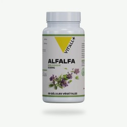 Alfalfa bio 500 mg 60 gélules Vit'all+ Vit'all +  dans votre magasin bio en ligne Etiketbio.eu