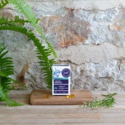 Capsules bronches bio Herbes et Traditions Herbes et Traditions  dans votre magasin bio en ligne Etiketbio.eu