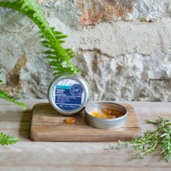 Pastilles gorge bio Herbes et Traditions 45 g Herbes et Traditions  dans votre magasin bio en ligne Etiketbio.eu