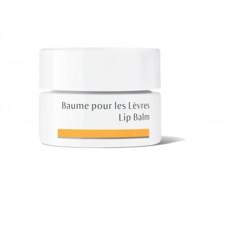 Baume levre Dr. Hauschka dans votre magasin bio en ligne Etiketbio.eu Baume levre Dr. Hauschka dans votre magasin bio en ligne Etiketbio.eu