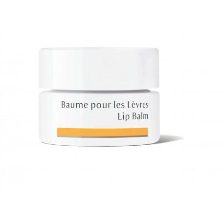 BAUME LEVRE | DR HAUSCHKA | Acheter sur EtiketBio.eu