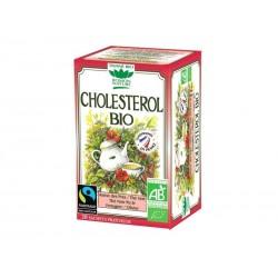 CHOLESTEROL 32G 20 SACHETS ROMON NATURE / PLANTASIA dans votre magasin bio en ligne Etiketbio.eu