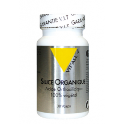 SILICE ORGANIQUE 30 VCAPS VITALL +  dans votre magasin bio en ligne Etiketbio.eu