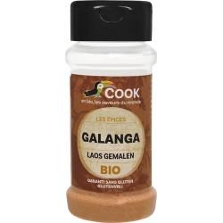 GALANGA POUDRE 25G | COOK | Acheter sur EtiketBio.eu