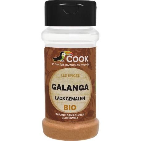 GALANGA POUDRE 25G | COOK | Acheter sur EtiketBio.eu