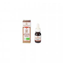 EXTRAIT PROPOLIS NOIRE BIO 15ML BALLOT FLURIN  dans votre magasin bio en ligne Etiketbio.eu