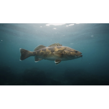 Foie de morue : bienfaits, valeurs nutritionnelles et conseils de consommation