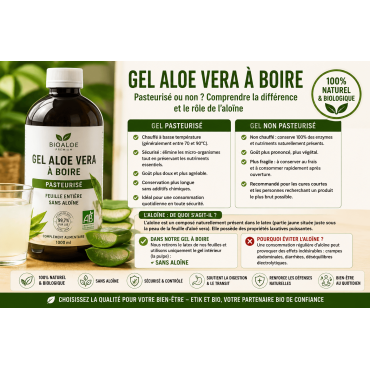 Aloe vera à boire : faut-il le choisir pasteurisé et sans aloïne ?