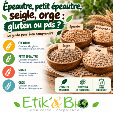 Épeautre, petit épeautre, seigle, orge : contiennent-ils du gluten ?