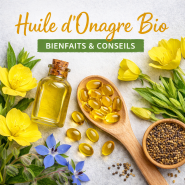 Huile d’onagre bio : bienfaits, comment la choisir et pourquoi l’associer à la bourrache ?