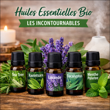 Tea tree, ravintsara, lavande, eucalyptus, menthe : les huiles essentielles bio à découvrir