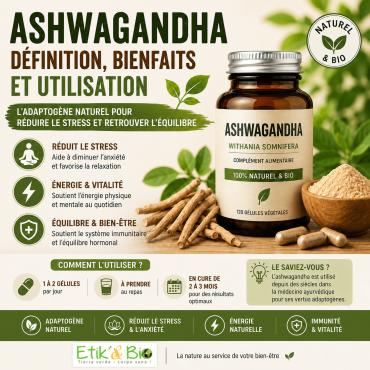 Ashwagandha : définition, bienfaits et utilisation de la racine ayurvédique