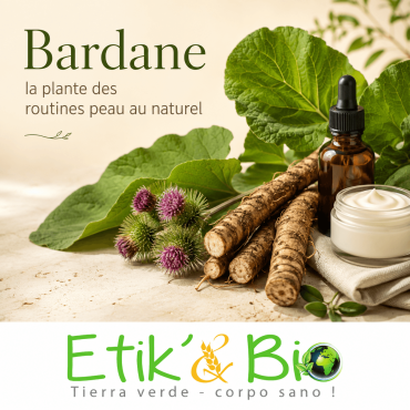La bardane : tout savoir sur la plante classique des routines peau
