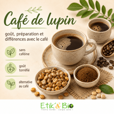 Café de lupin : goût, préparation et différences avec le café