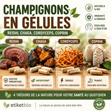 Reishi, chaga, cordyceps, coprin chevelu : le guide des champignons en gélules
