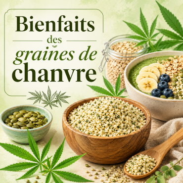 Graines de chanvre : bienfaits, comment les consommer et précautions CBD