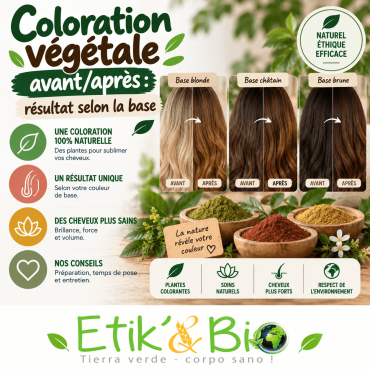 Coloration végétale avant/après : quel résultat selon votre base ?