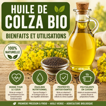 Huile de colza : bienfaits, utilisation et conseils pour bien la choisir