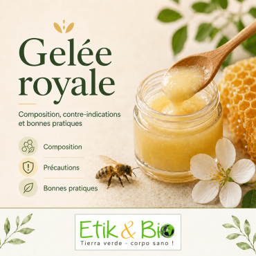 Gelée royale : composition, contre-indications et bonnes pratiques