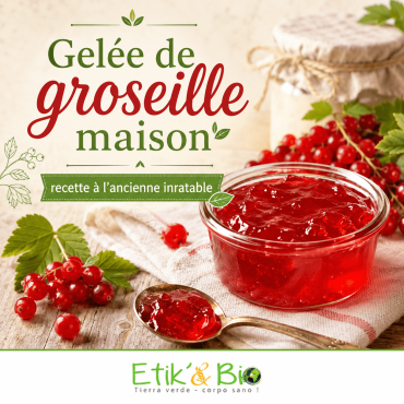 Gelée de groseille maison : la recette à l'ancienne (et sa jumelle au cassis)