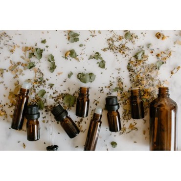 Quelle huile essentielle anti-moustique choisir ?