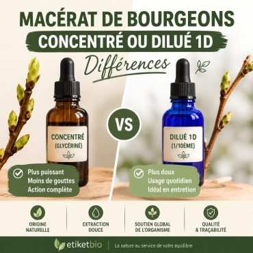 Macérat de bourgeons concentré ou dilué 1D : quelle différence ?
