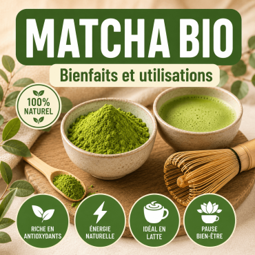 Matcha : bienfaits, préparation et utilisation