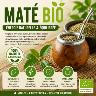 Maté : bienfaits, préparation et dégustation