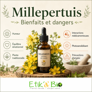 Millepertuis : ce qu'il faut savoir avant d'en prendre