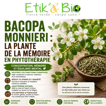 Bacopa monnieri : la plante de la mémoire en phytothérapie