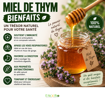 Miel de thym : quels bienfaits, comment le consommer et comment bien le choisir ?