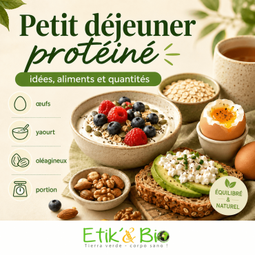 Petit déjeuner protéiné : le guide complet pour bien démarrer la journée
