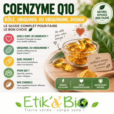 Coenzyme Q10 : rôle, formes (ubiquinone, ubiquinol) et comment la choisir